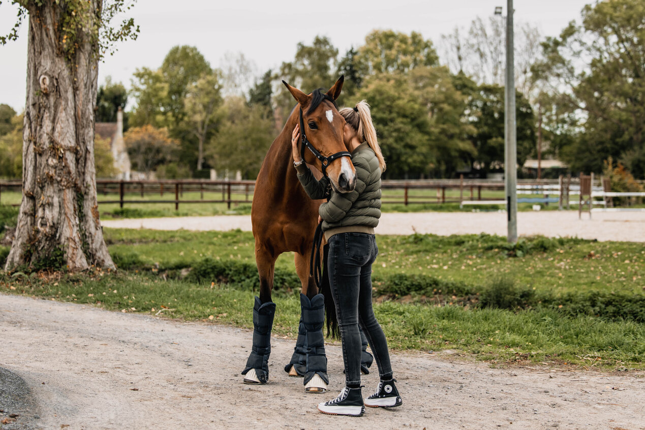 Comment s'assurer du bien-être de son cheval pendant le transport ?