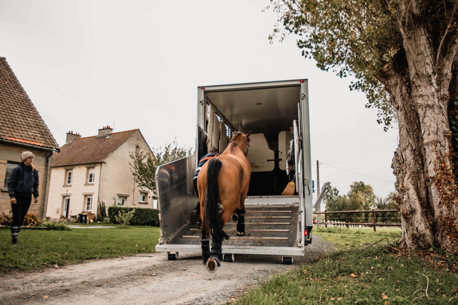 Comment devenir transporteur équin ?