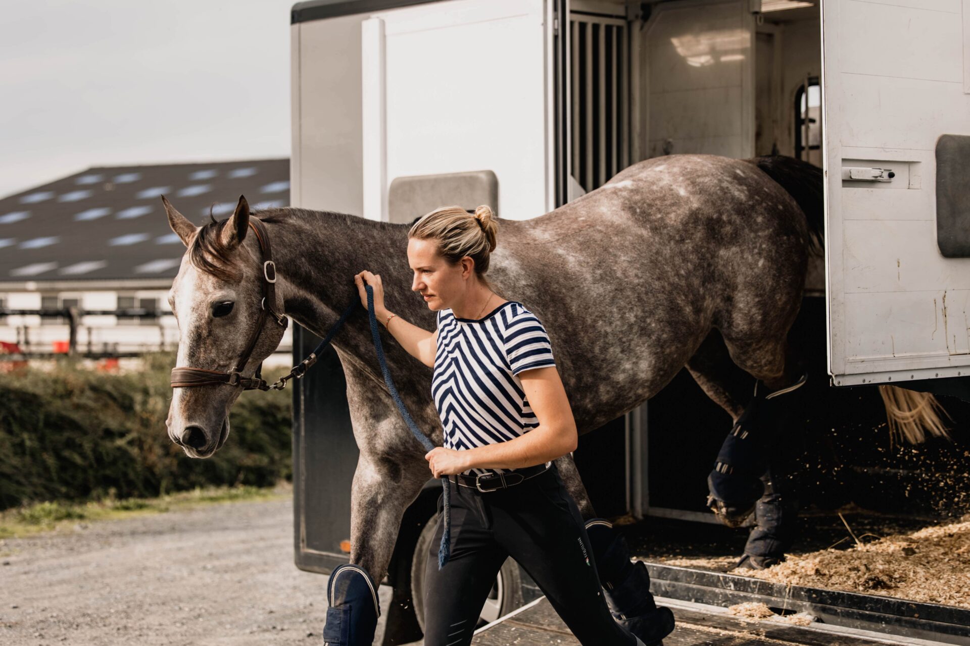 Trouvez la meilleure solution de transport pour votre cheval