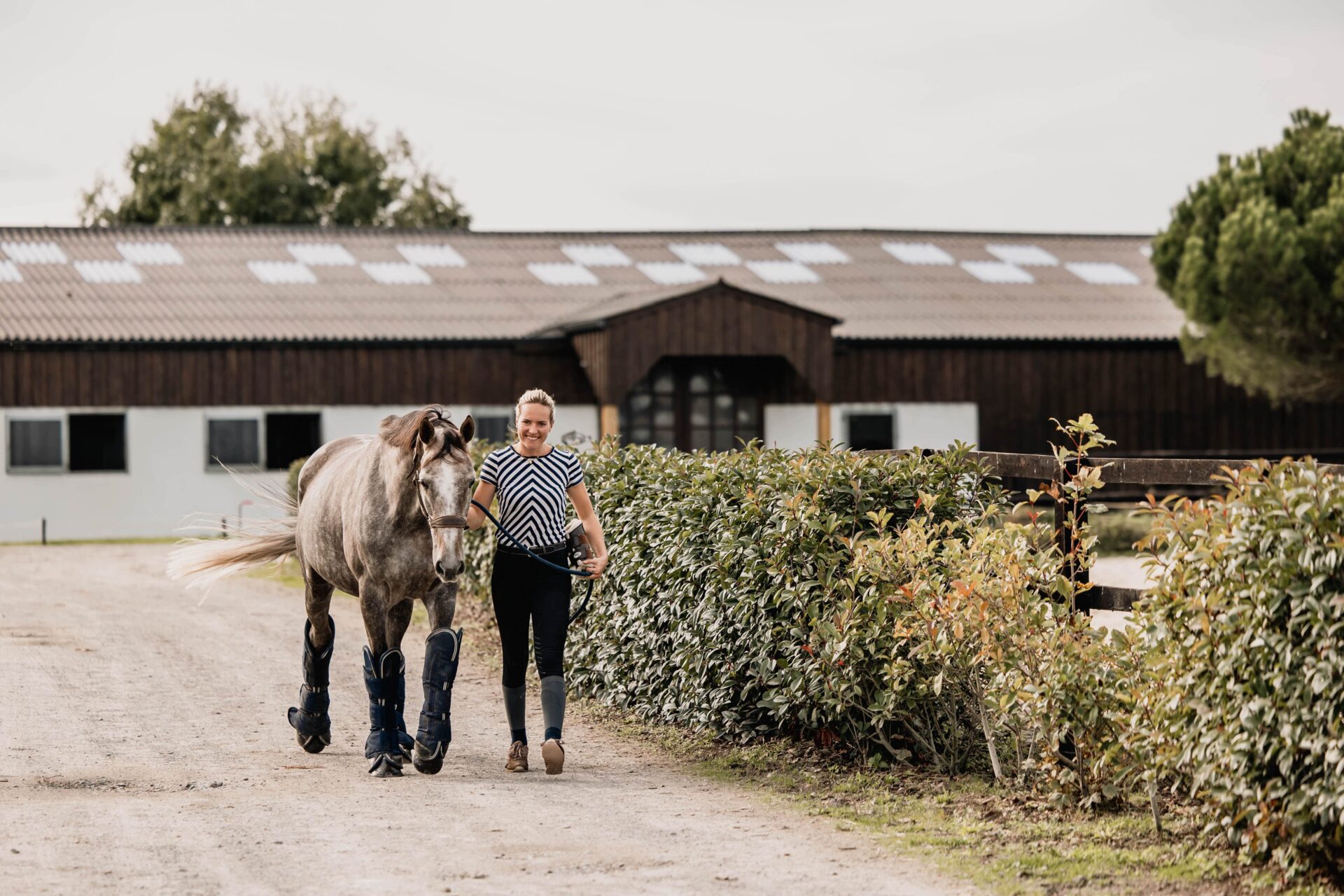Comment couvrir votre cheval pendant le transport ?