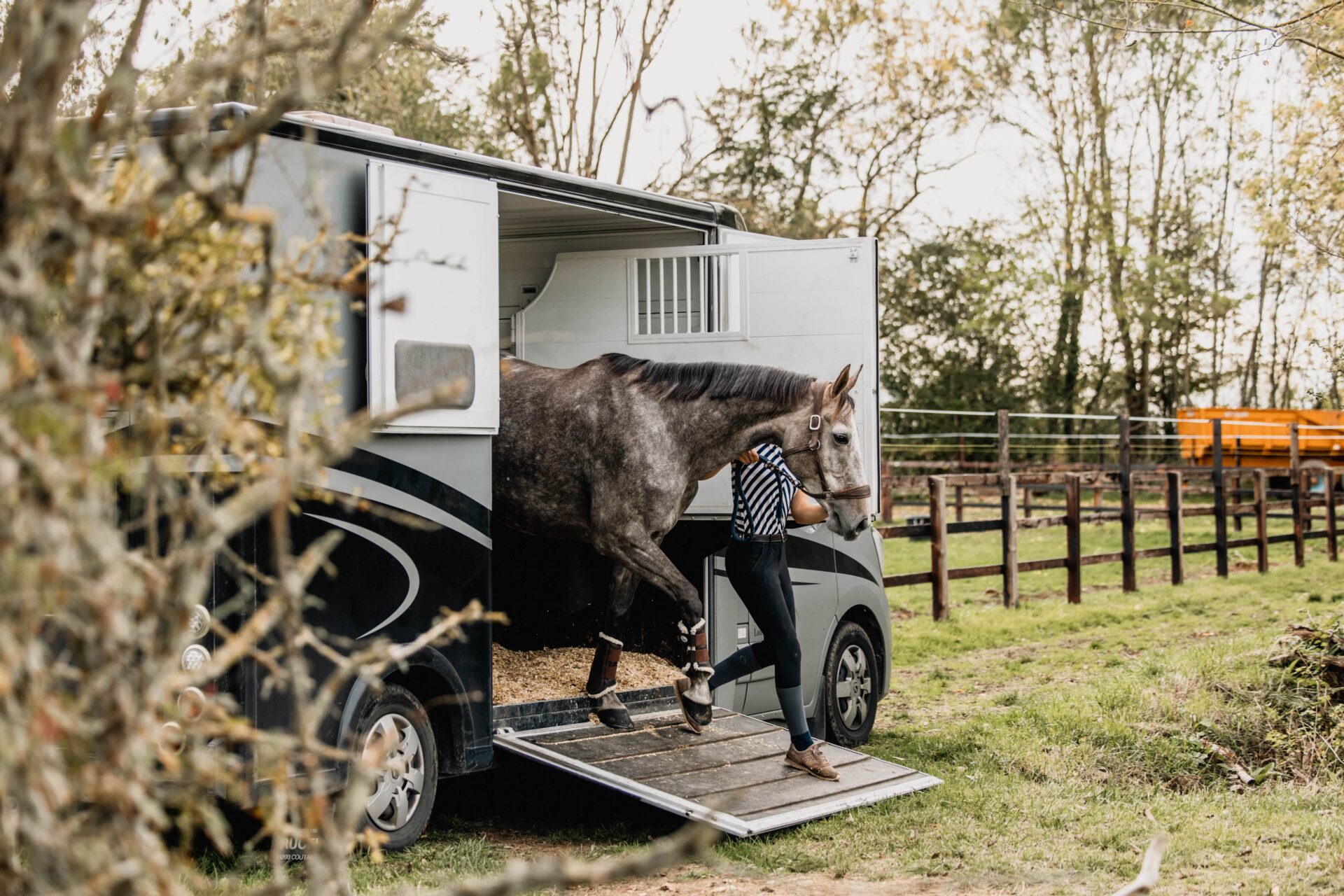 Pourquoi le transport de chevaux pas cher n’existe pas !
