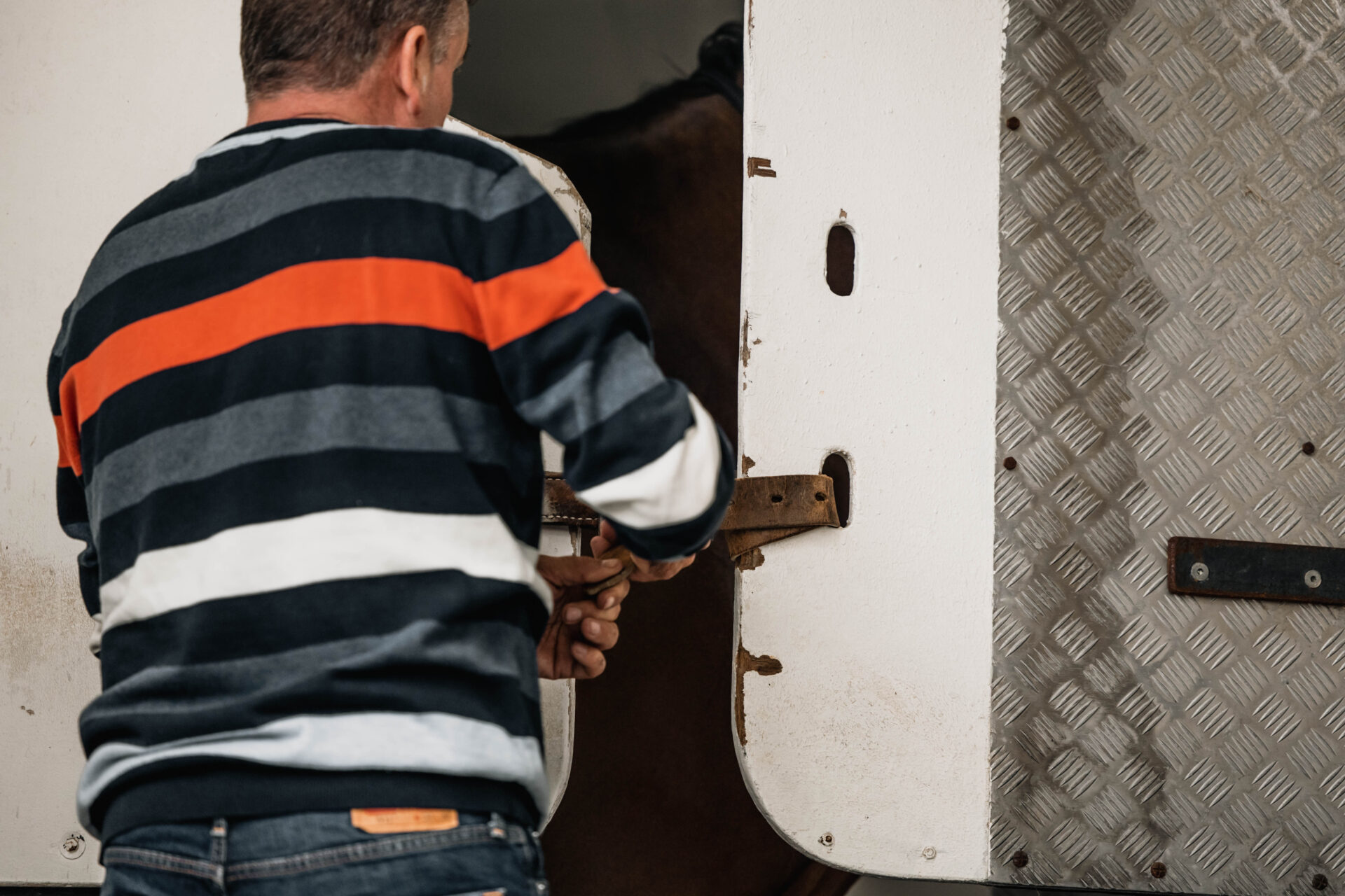 Faire transporter son cheval : quel est le vrai prix ?