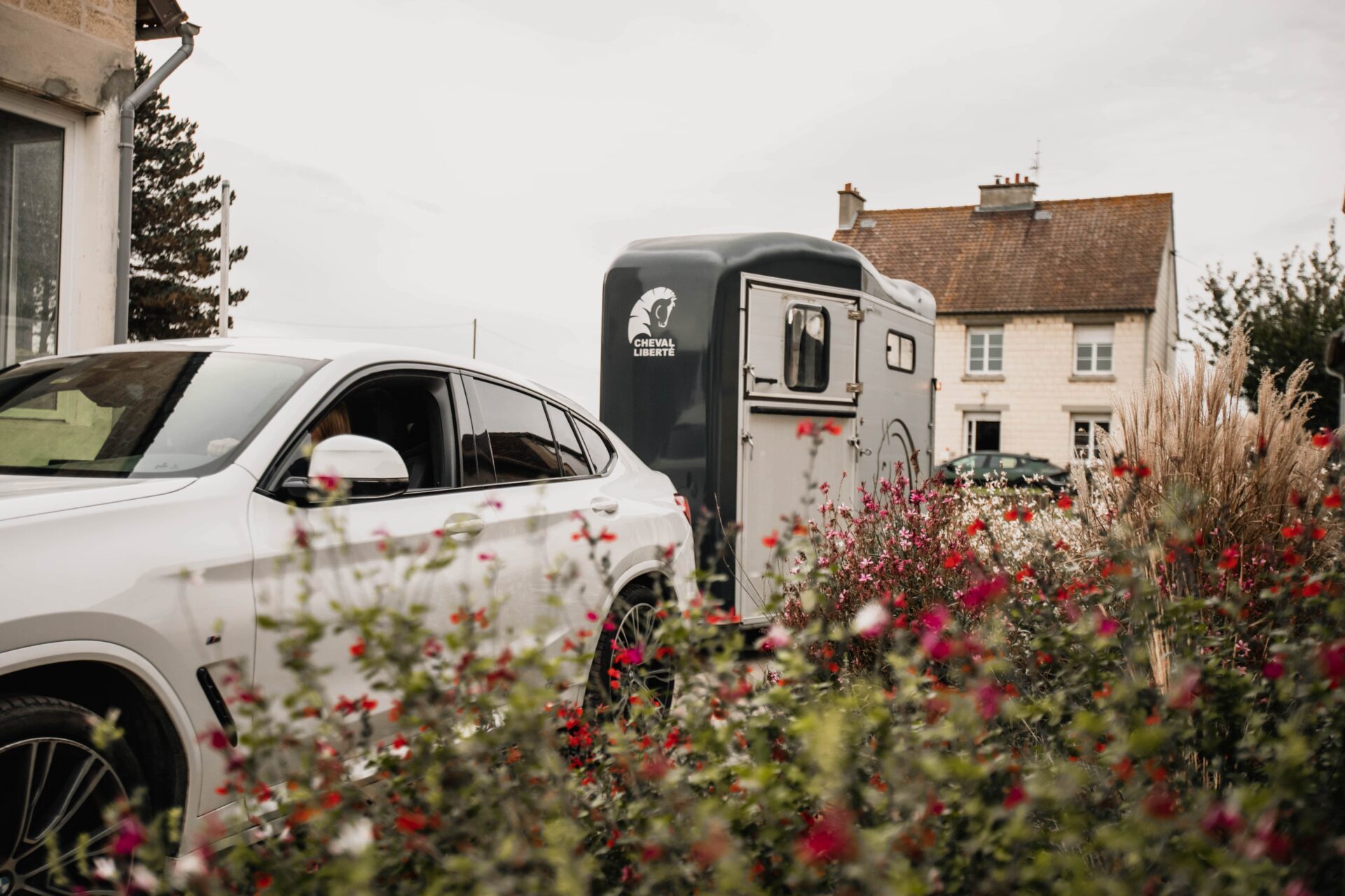 Comment réaliser un transport de chevaux en van ?